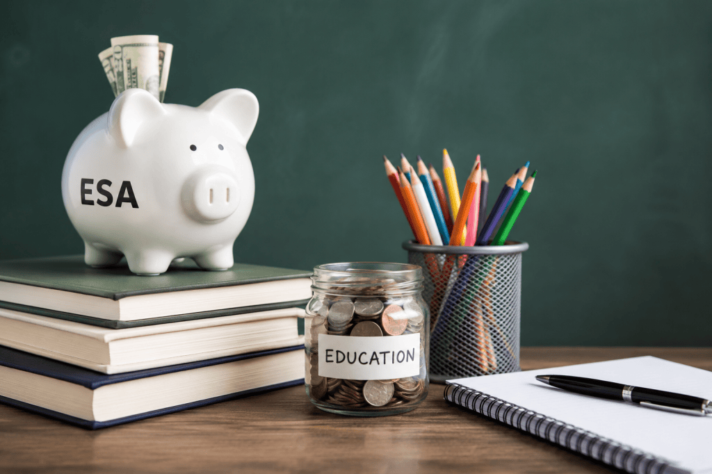 Government Funding Isn’t Just for Big Tech: A Parent and Provider’s Guide to Education Savings Accounts